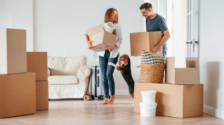 14 Ways To Make Moving With A Pet So Much Easier